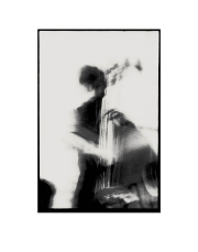 Ode-to-the-Bass