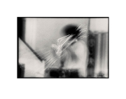 Trombone-Tom-Plsek