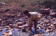 Daily Water