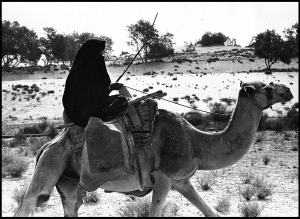 Woman on Camel